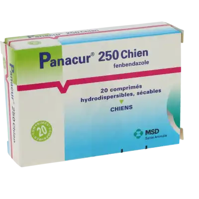 Panacur 250 Chien, Comprimé à YZEURE