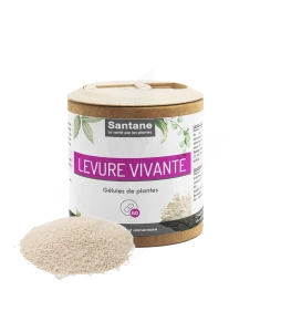 Santane Levure Vivant Gélules De Poudre De Plantes 390mg B/60