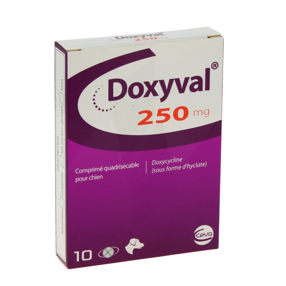 Doxyval 250 Mg Comprime Quadrisecable Pour Chien, Comprimé