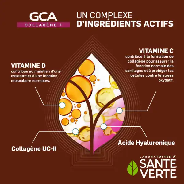 Santé Verte Gcaflex+ Gélules B/30