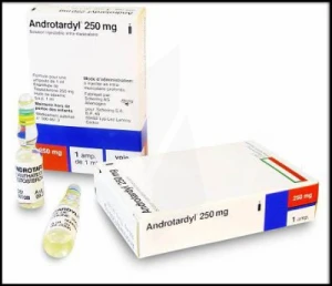 Androtardyl 250 Mg/1 Ml, Solution Injectable Intramusculaire