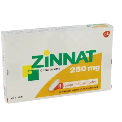 Zinnat 250 Mg, Comprimé Pelliculé à CHAMBÉRY