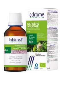 Ladrôme Extrait De Plante Cardère Sauvage Racine 50ml