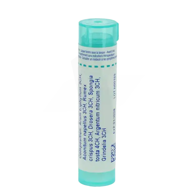 Boiron Arum Triphyllum Compose Granules Tube De 4g