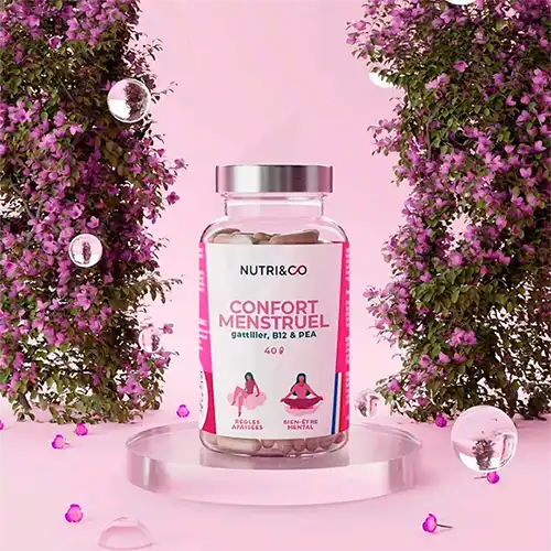 Nutri&co Confort Menstruel Gélules B/40