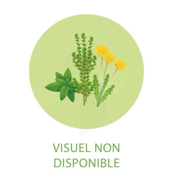 Iphym Santé Marrube Blanc Plantes En Vrac Entières Et Coupées 1kg