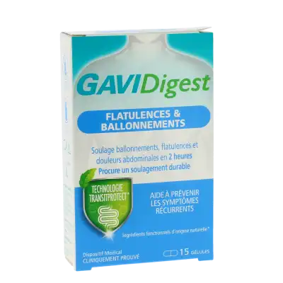 Gavidigest Ballonnement Gélules 15 à BOURBON-LANCY