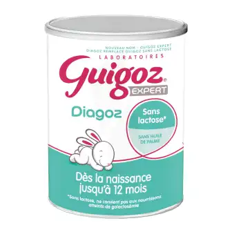 Guigoz Expert Diagoz Lait Poudre Boîte De 400 G à TOURS