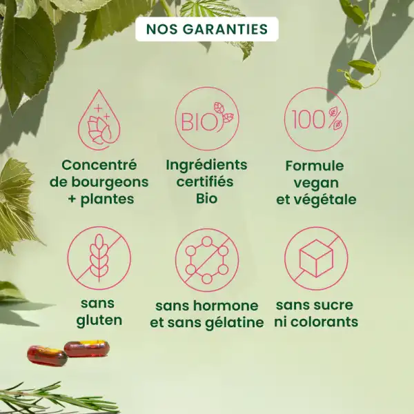 Herbalgem Gemmocaps Caps Périménopause Bio B/30