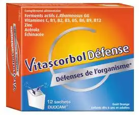 Vitascorboldefense Poudre Défenses De L'organisme 12 Sachets à JOINVILLE-LE-PONT