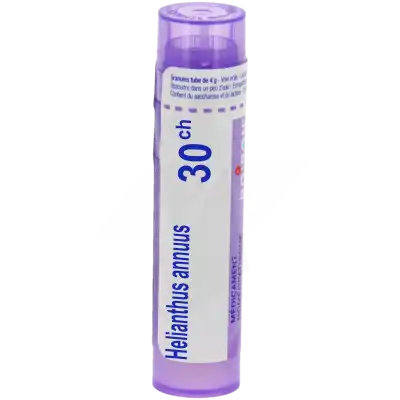 Boiron Helianthus Annuus 30ch Granules Tube De 4g à CUSY