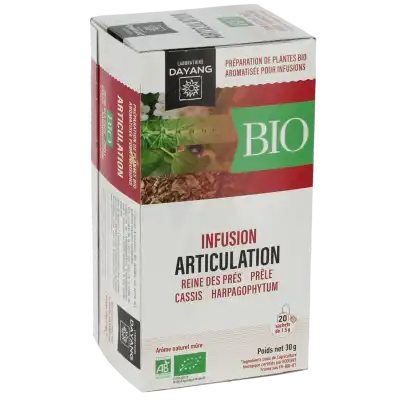 Dayang Articulation BIO 20 infusettes