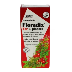 Floradix Fer+plantes Comprimés Vigueur énergie B/84