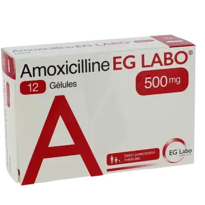 Amoxicilline Eg Labo 500 Mg, Gélule à Abbeville