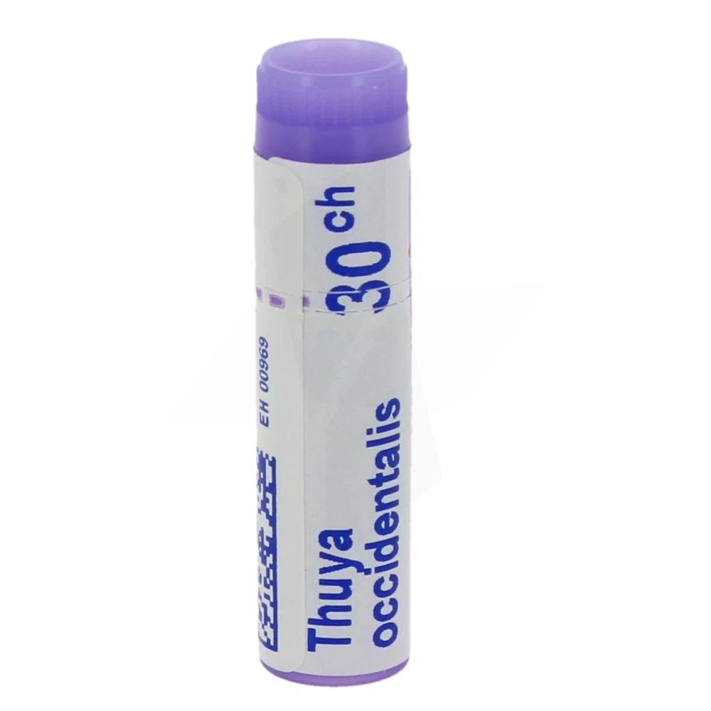 Boiron Thuya Occidentalis 30ch Globules Dose De 1g