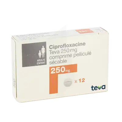 Ciprofloxacine Teva 250 Mg, Comprimé Pelliculé Sécable à Angers