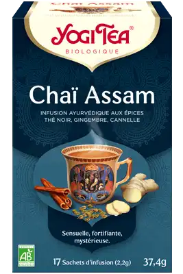 Yogi Tea Tisane AyurvÉdique ChaÏ Assam Bio 17sach/2,2g à Bordeaux