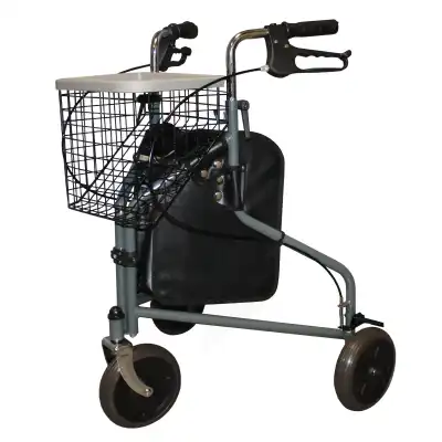 Vitadomia Déambul 3 Roues à CANEJAN