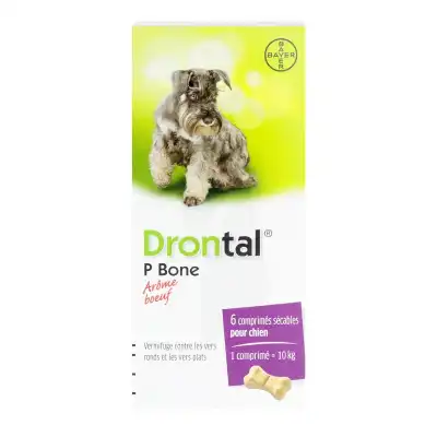 Drontal P Bone Comprimés Arôme Boeuf Chien B/6 à TOULOUSE