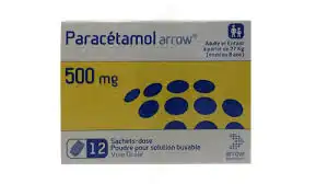 PARACETAMOL ARROW 500 mg, poudre pour solution buvable en sachet-dose