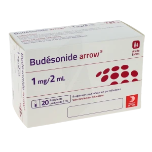 Budesonide Arrow 1 Mg/2 Ml, Suspension Pour Inhalation Par Nébuliseur En Récipient Unidose