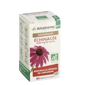 Arkogelules Echinacée Bio Gélules Fl/45 à AIX-EN-PROVENCE