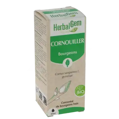 Herbalgem Cornouiller Macérat Bio Fl Cpte-gttes/30ml à MONTEUX