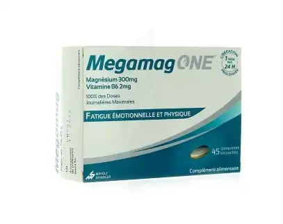 Megamagone 300 Cpr B/45