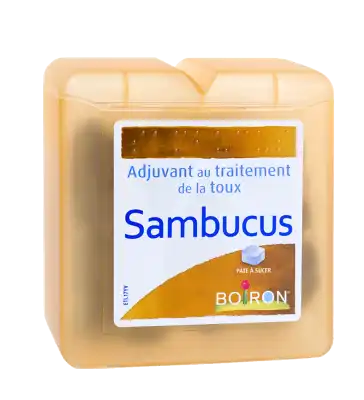 Pates De Reglisse Au Sambucus, Pâte à Sucer à Saint-Médard-en-Jalles
