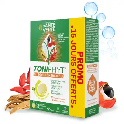 Santé Verte Toniphyt Boost Comprimés Effervescents Citron Vert Menthe B/45 à ANGLET