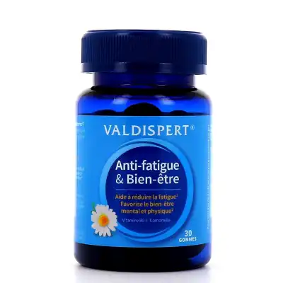 Valdispert Antifatigue Vitalit Gomme Pot/30 à PARIS