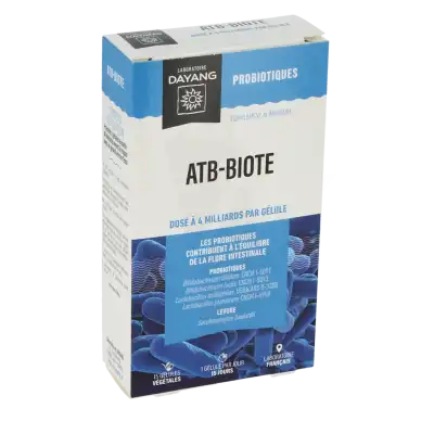 Dayang Probiotiques Atb-biote Gélules B/15 à Clermont-Ferrand