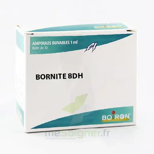 Boiron Bornite 8dh Solution Buvable En Ampoules Boîte De 30 Ampoules