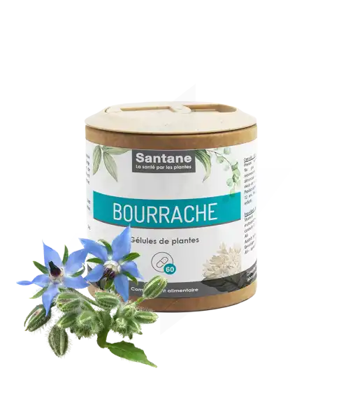 Santane Bourrache Gélules De Poudre De Plantes 500mg B/160