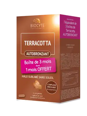 Biocyte Terracotta Cocktail Autobronzant Comprimés 3b/30 à Le havre