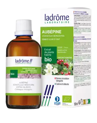 Ladrôme Extrait de Plante Aubépine Sommité Fleurie et Fruit 100ml