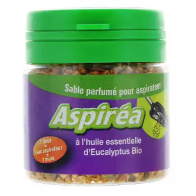Aspiréa Grain pour aspirateur Eucalyptus Huile essentielle Bio 60g