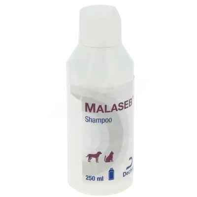 MALASEB SHAMPOO, Shampooing