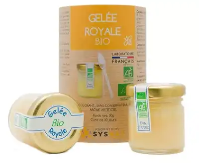 Sysnat Gelée Royale Pure Bio Pot/30g à SENNECEY-LÈS-DIJON