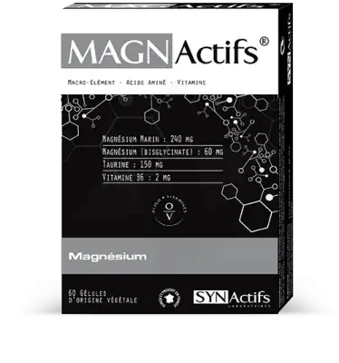 Synactifs Magnactifs Gélules B/60 à SAINT-JEAN-D-ILLAC