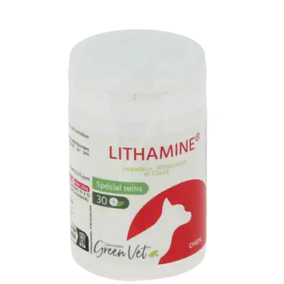 Lithamine Chien Comp B/30