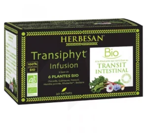 Herbesan Transiphyt Tis Infusion Bio 20sach