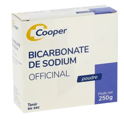 Cooper Bicarbonate De Sodium Poudre B/250g à LA-RIVIERE-DE-CORPS