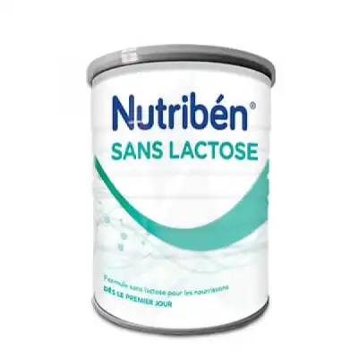 Nutribén Sans Lactose Alimentation Infantile B/400g à Mérignac