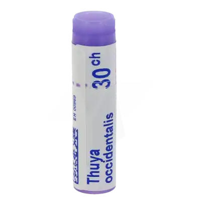 Boiron Thuya Occidentalis 30ch Globules Dose De 1g à Angers