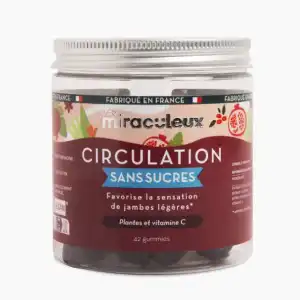 Acheter Les miraculeux Gummies Circulation sans sucre Gommes Pot/42 à DIJON