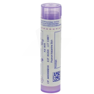 Boiron Poumon Histamine 30ch Granules Tube De 4g