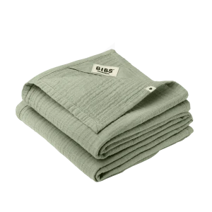 Langes 70x70cm Sage Pack/2
