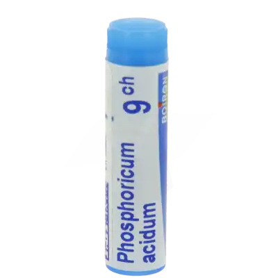 Boiron Phosphoricum Acidum 9ch Globules Dose De 1g à RUMILLY