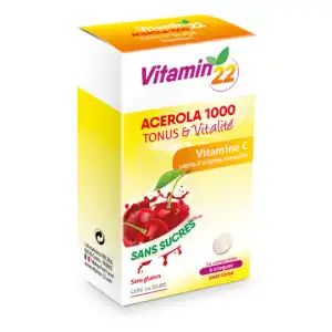 Ineldea Vitamin'22 Acérola 1000 Comprimés à Croquer Cerise B/24 à Annecy